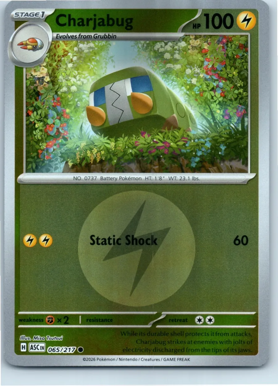 Charjabug (Energy Symbol Pattern) 065/217 front, the actual card for sale