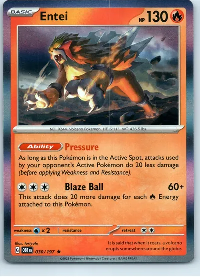 Entei 030/197
