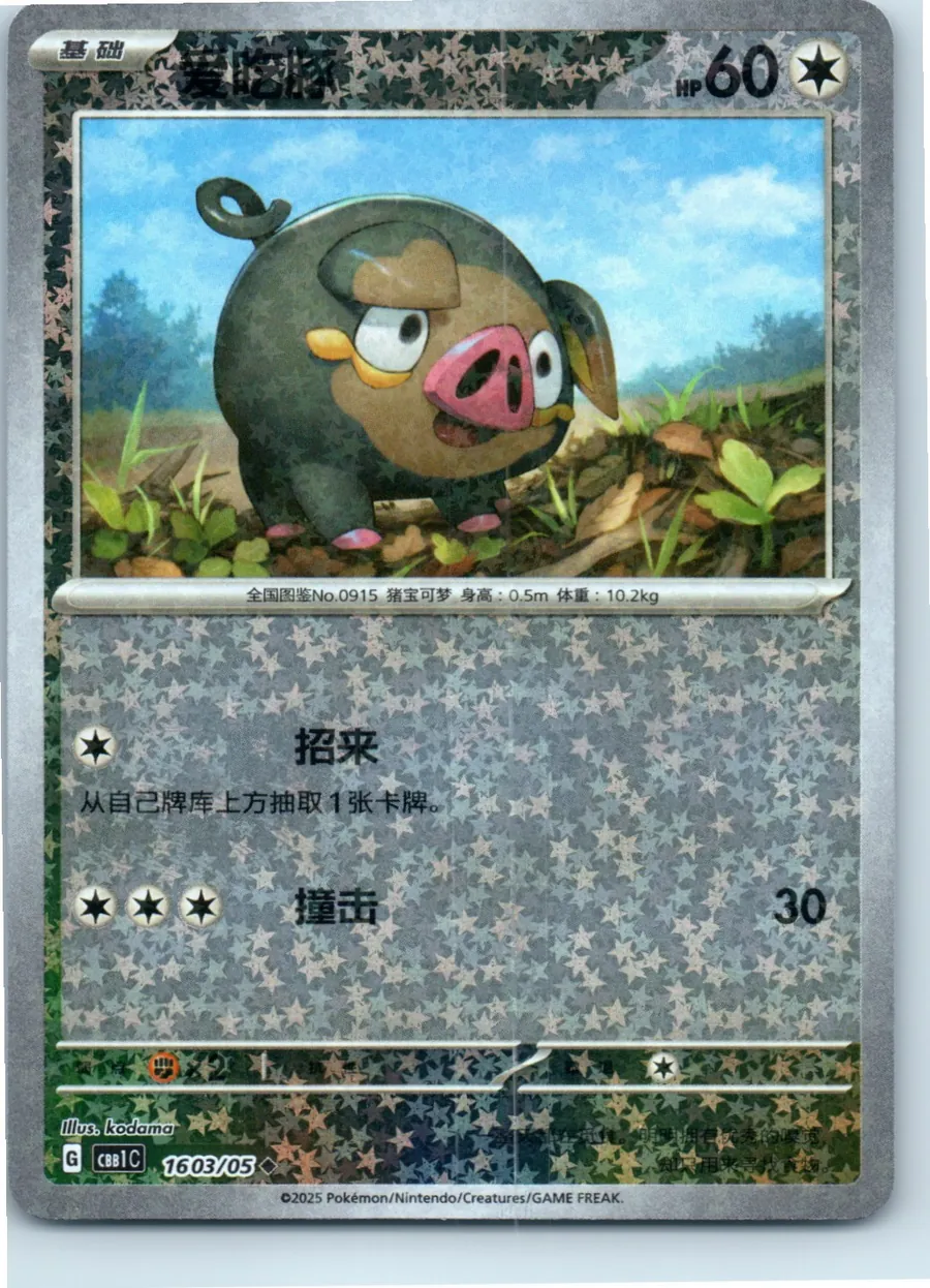 Lechonk (Star Pattern) 1603/05 front, the actual card for sale