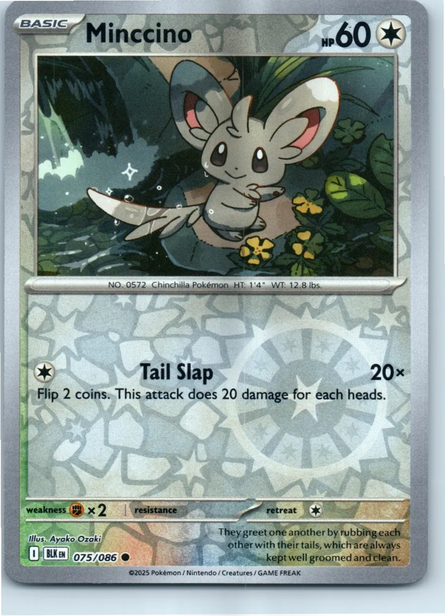 Minccino 075/086 front, the actual card for sale