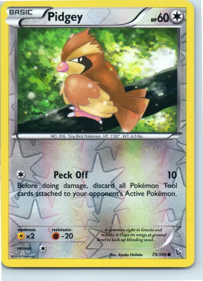 Pidgey 75/106