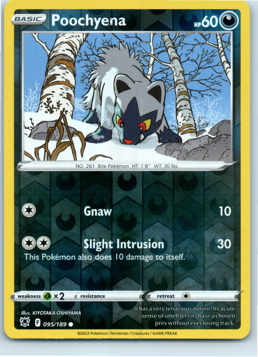 Poochyena 095/189 front, the actual card for sale
