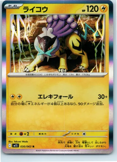 Raikou 030/063