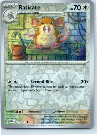 Raticate 020/165