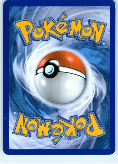 Sewaddle 5/119 back