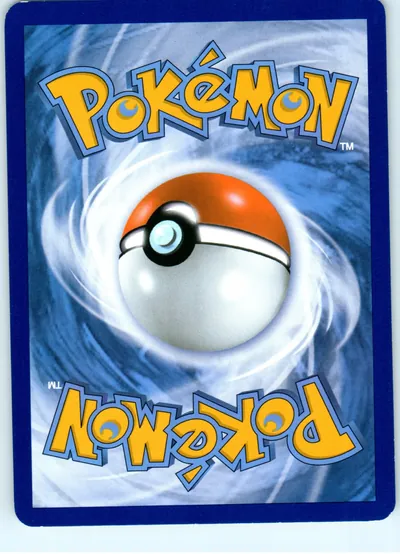 Skiddo 16/162 back