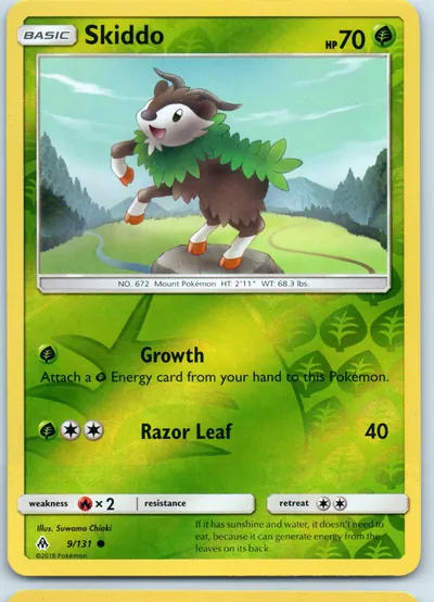 Skiddo 9/131