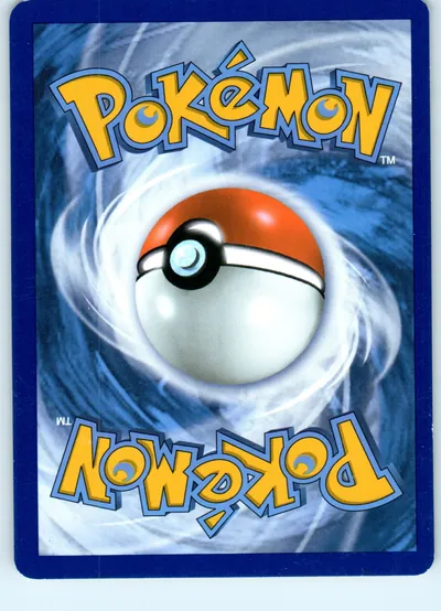 Snorunt 31/145 back