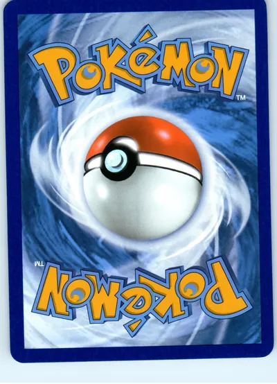 Torchic 040/182 back