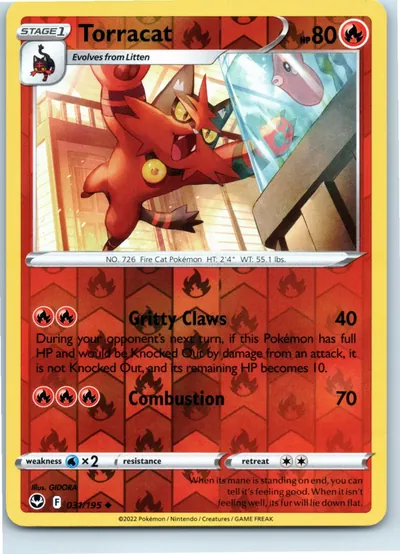 Torracat 031/195