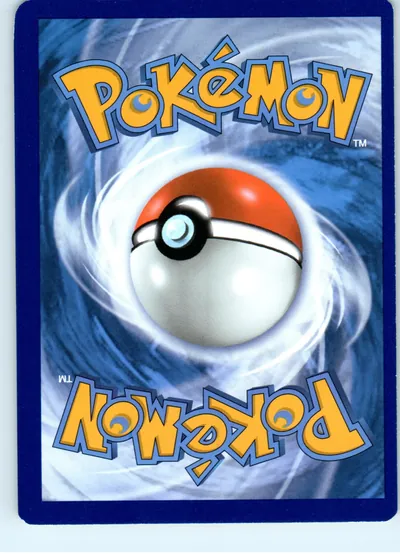 Totodile 055/264 back