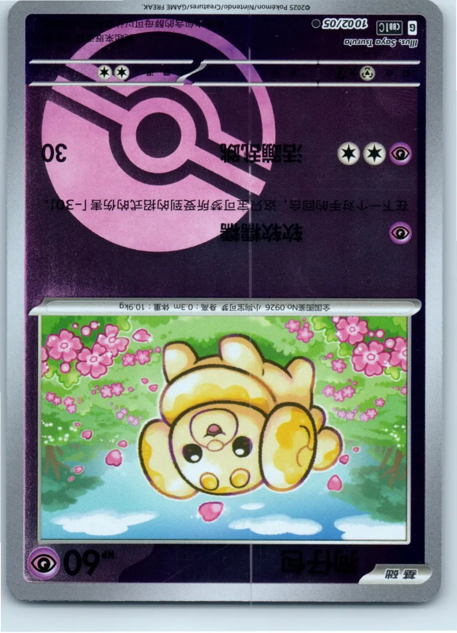 Teddiursa 1002/05 front, the actual card for sale